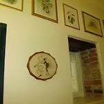 招待所 安西娅旅馆